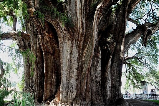 Tour image 10